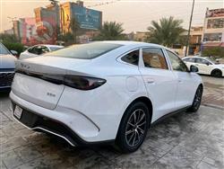 بي واي دي سيل 06 DM-i